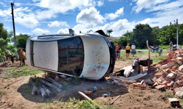 Carro atingiu dois cavalos ao capotar